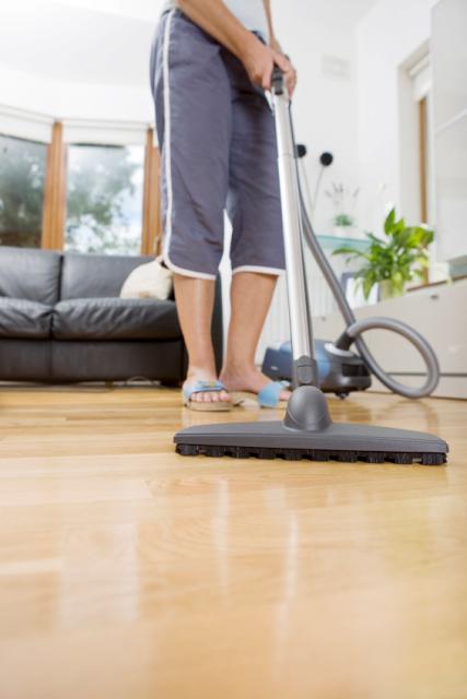 vacuumcleaning_jpg.jpg